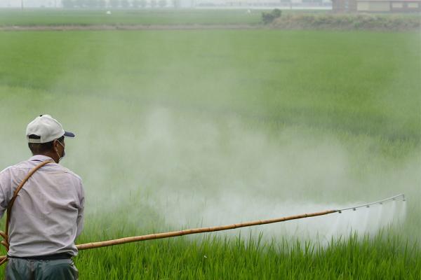 Plaguicidas de uso Agrícola. Nivel Básico. Modalidad Online. 15 de abril 2026