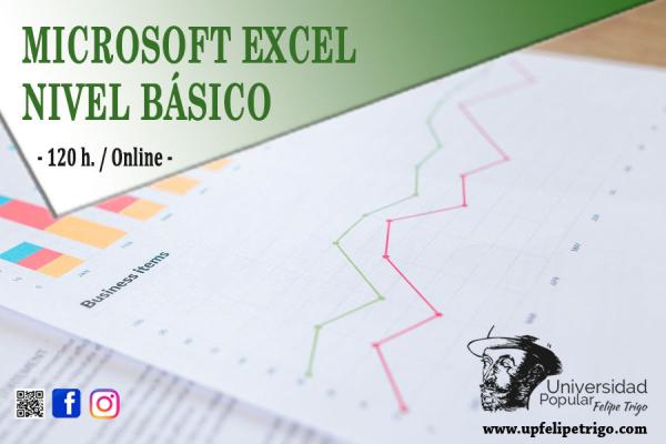 Microsoft Excel. Nivel Básico
